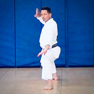 Seiyunchin Kata & Bunkai