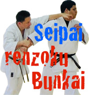 Seipai Kata Renzoku Bunkai