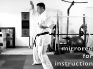 Gekisai Dai Ichi Kata Key Points