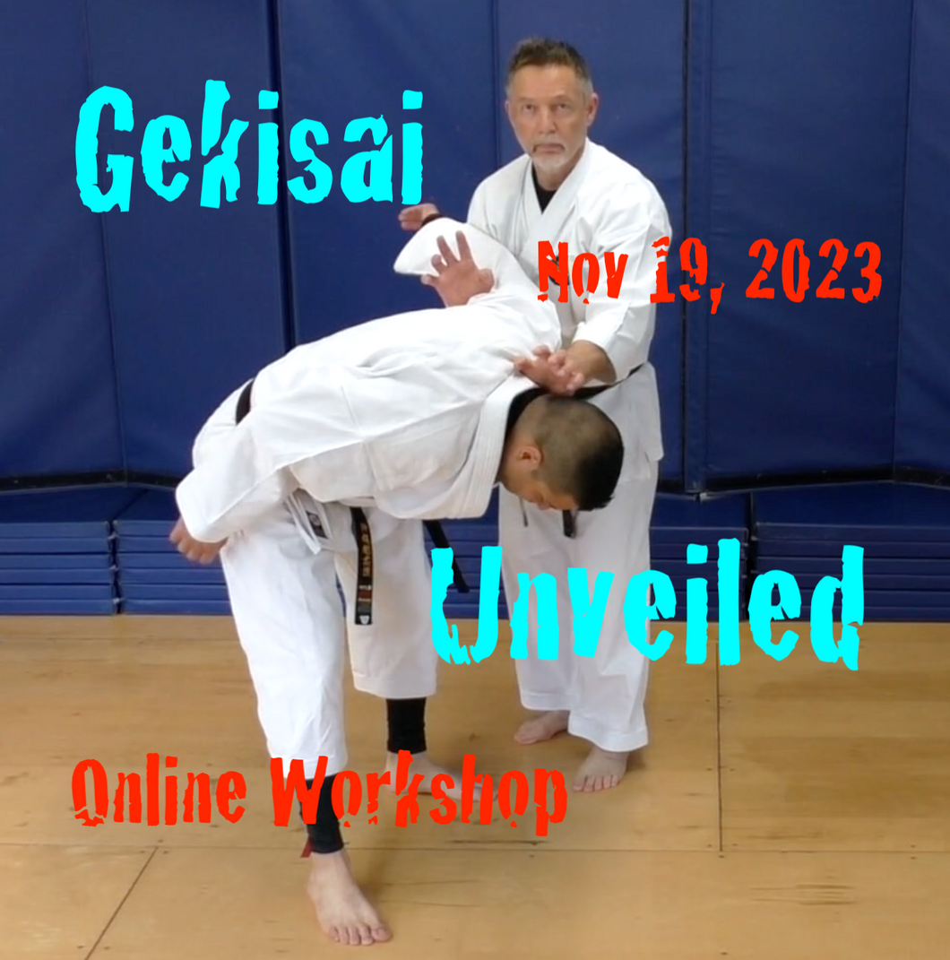 Gekisai Unveiled Workshop