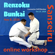 Sanseiru Renzoku Bunkai + Connector Review - Online Workshops