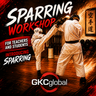 Introducing Sparring Workshop
