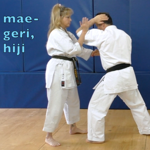 Gekisai Dai Ichi Renzoku Bunkai