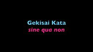 Gekisai Kata Sine Qua Non (for experienced practitioners and teachers)
