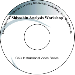 Shisochin Analysis Workshop DVD